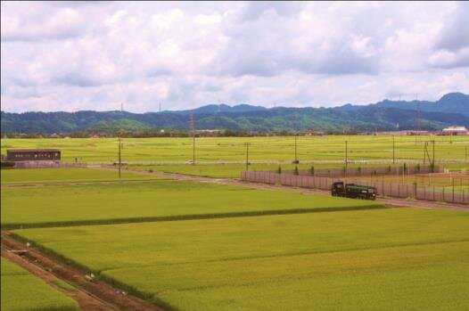 平地にひろがる水田(槇原小学校の近く)