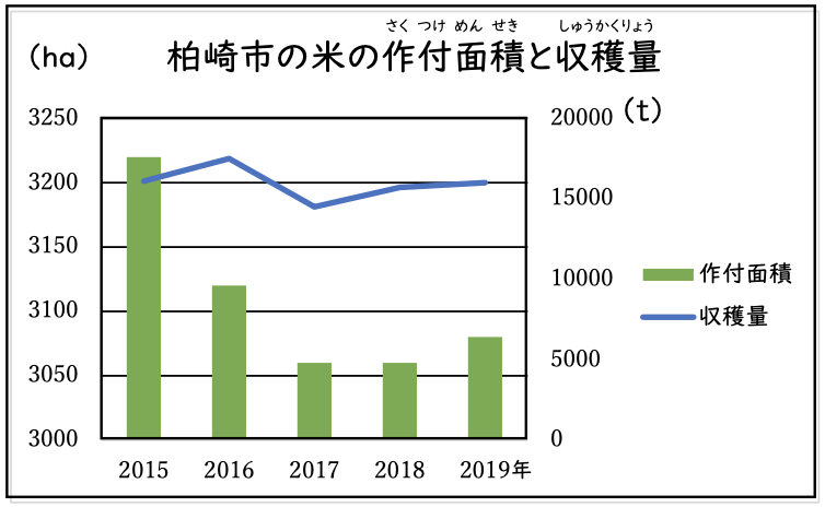 柏崎市の米の作付面積と収穫量