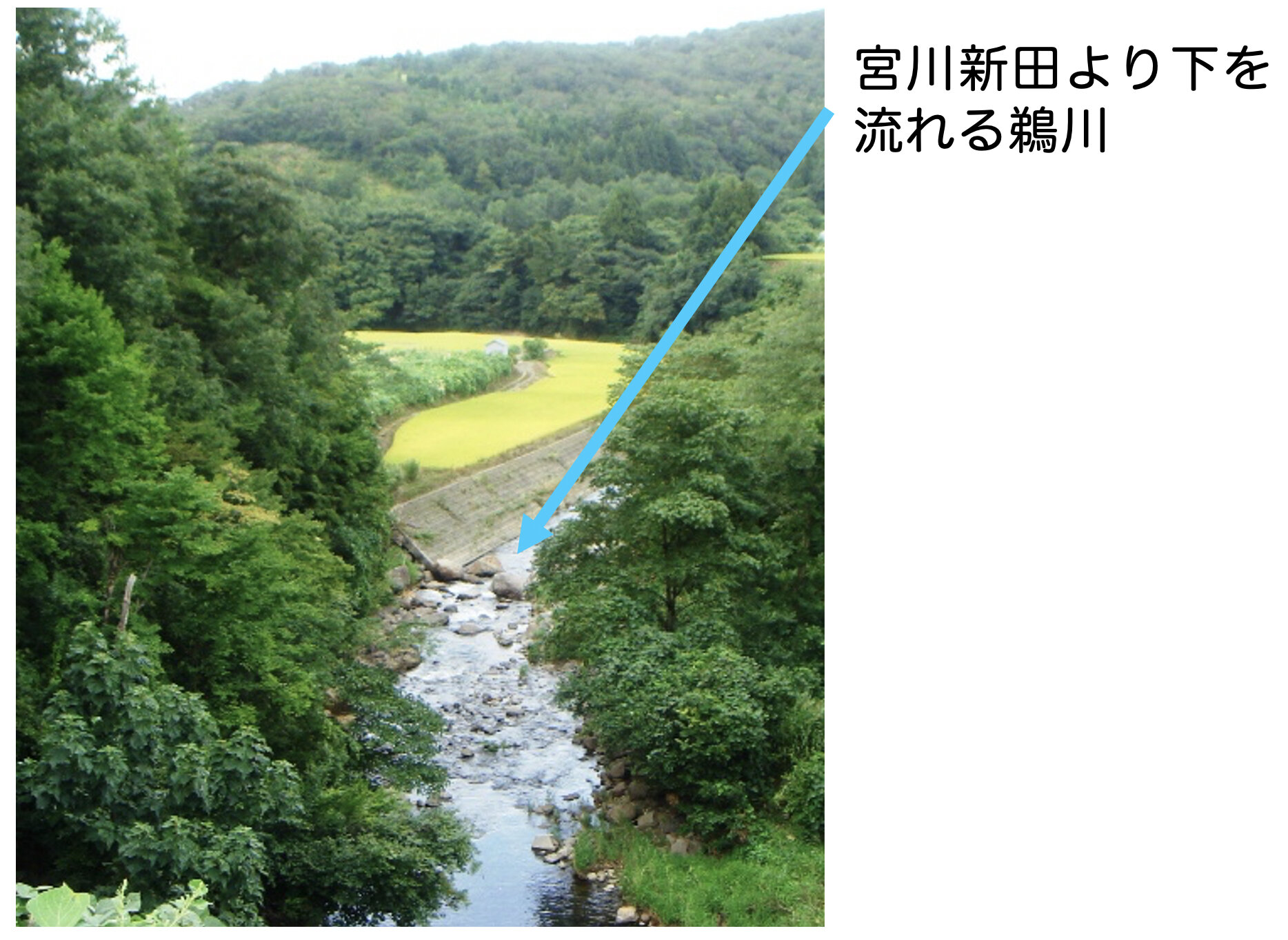 宮川新田より下を流れる鵜川