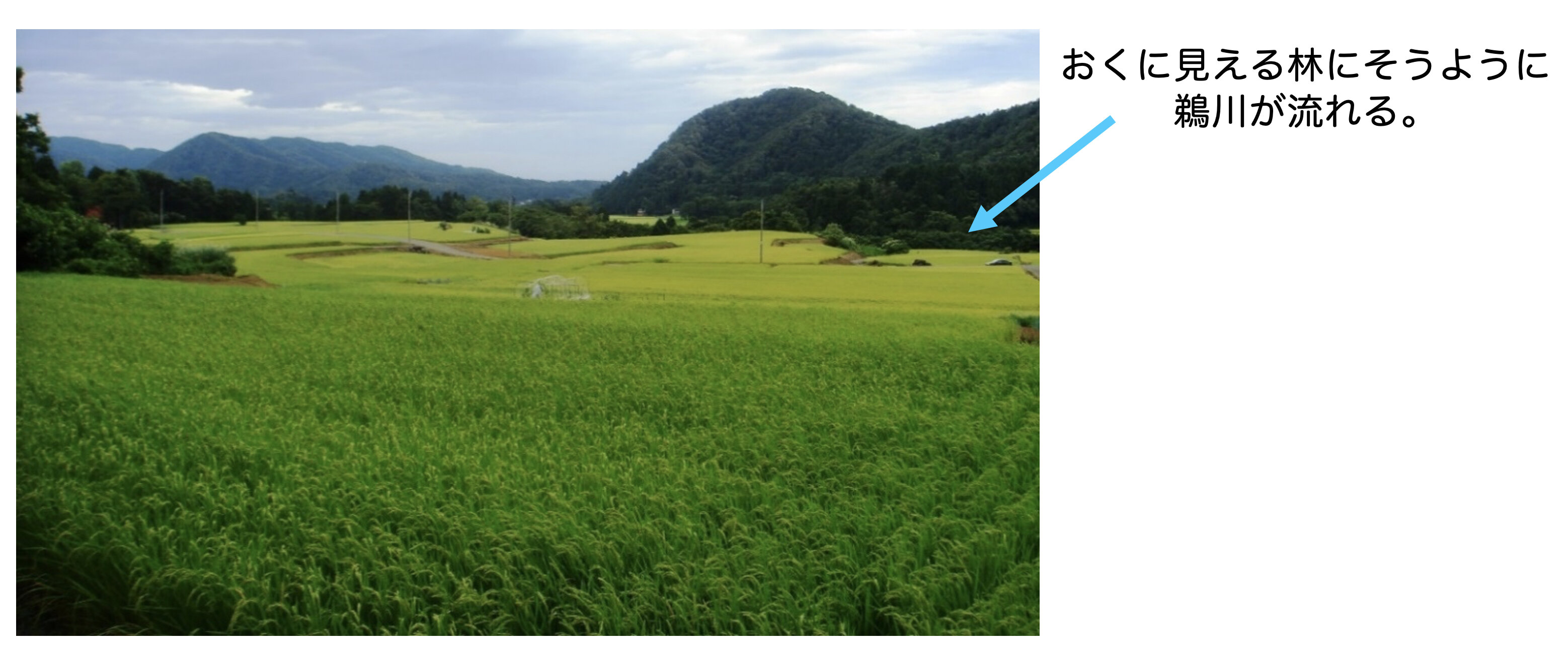 山すそからのぞむ宮川新田