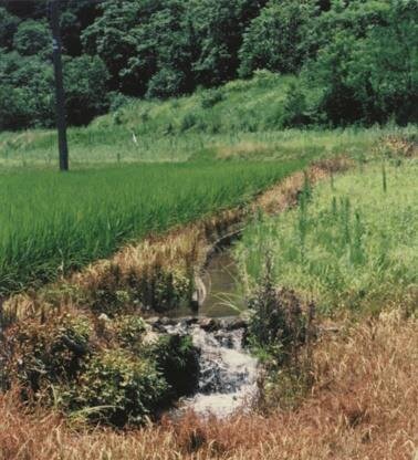 宮川新田の用水路