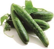 刈羽節成きゅうり